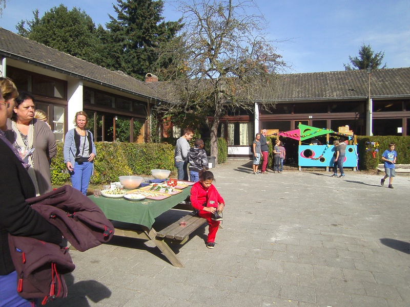 Traveler Z 14